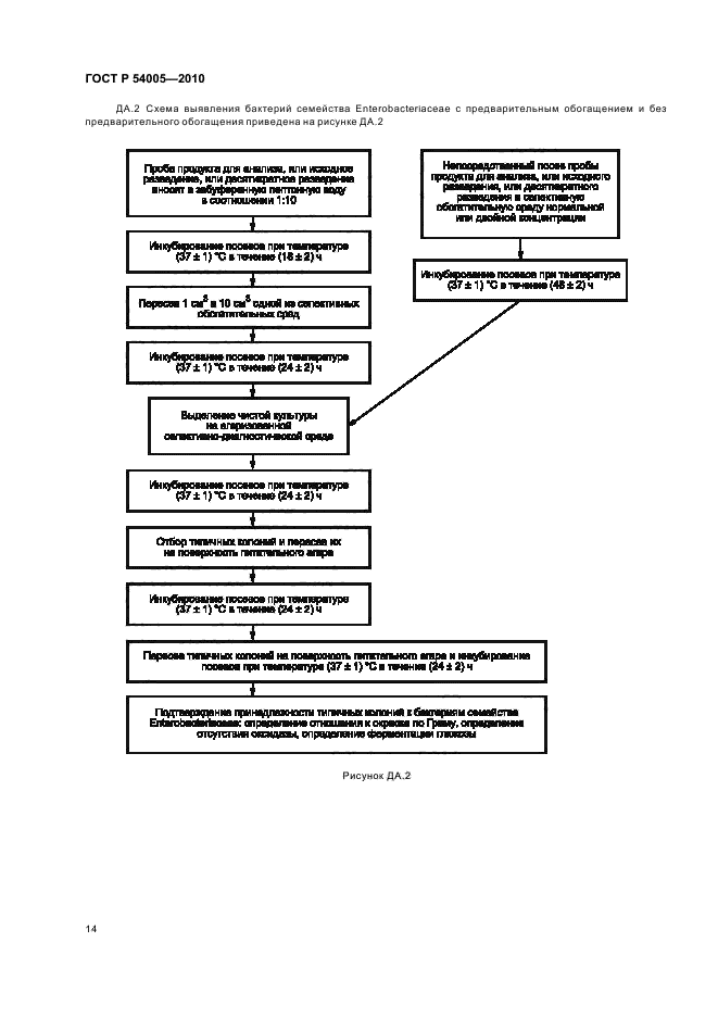   54005-2010.  .        Enterobacteriaceae.  18